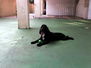 kika_garagem.jpg